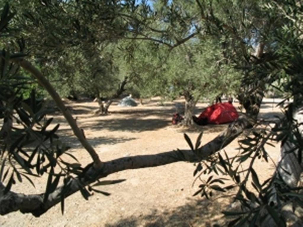 Camping Paleochora * Palaiochora
